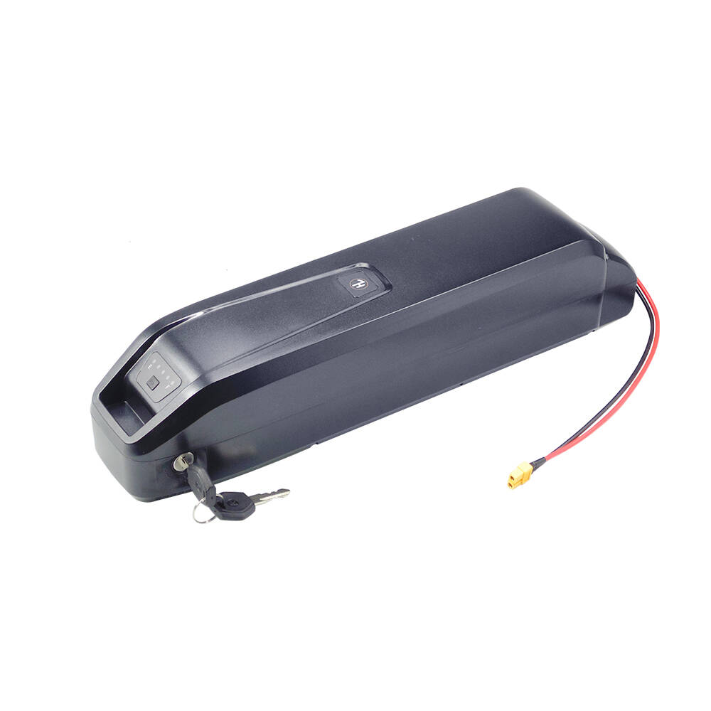 Neuer S20 Pro 48V 13Ah 20Ah Ha – Ebike Battery 48V 20Ah Hailong Bewertung und Preis