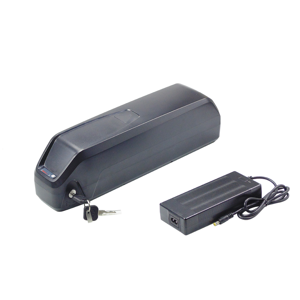 Hailong 48V 13Ah 15Ah 17,5Ah E – Ebike Battery 48V 20Ah Hailong Bewertung und Preis